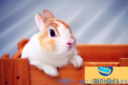 2023年是火年或是水年