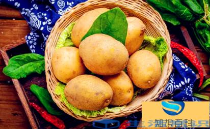 发芽土豆如何处理能吃不浪费