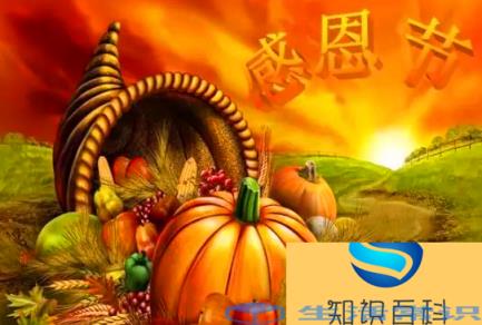 感恩节是哪个国家的节日 感恩节主要是哪个国家的节日