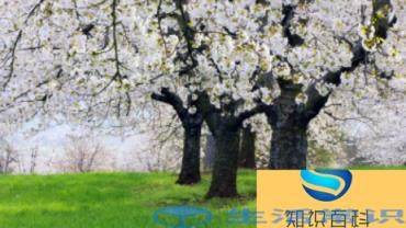 五月份是什么季节 五月份属于哪个季节