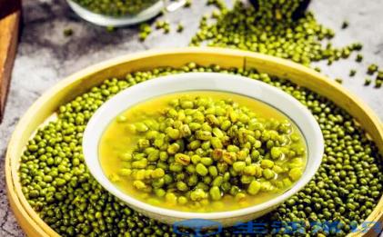 绿豆粥喝醉了有什么副作用