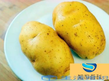 发芽土豆如何处理能吃不浪费