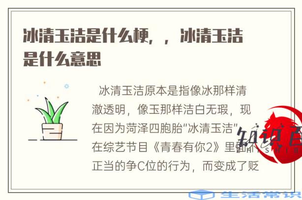 玉洁冰清是什么梗，，玉洁冰清代表什么意思