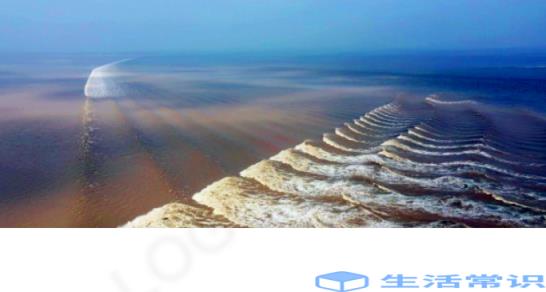 杭州钱塘江鱼鳞片潮是怎样所形成的 观潮安全小贴士