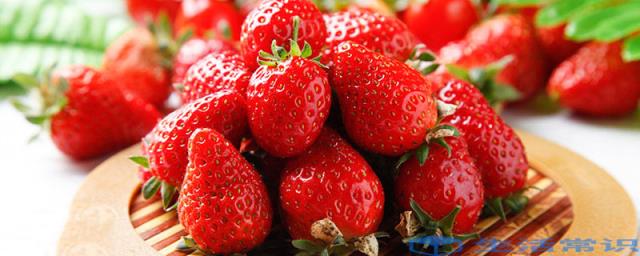 草莓苗蒂能吃吗 草莓苗蒂可以吃吗