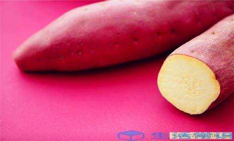 红薯的营养成分 红薯的适用范围