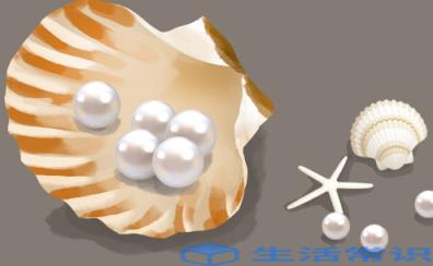 天然珍珠怎么鉴别真假 天然珍珠是怎么形成的