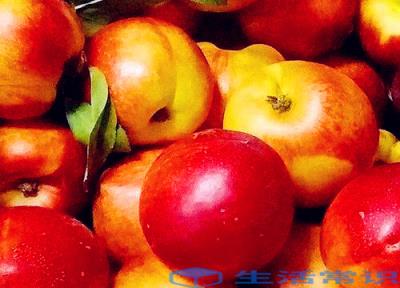 油桃什么品种最好吃 现阶段常见的油桃品种详细介绍