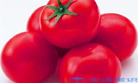 西红柿的营养价值与成份 番茄的功效与作用